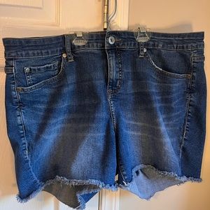 Torrid Blue Jean Shorts Size 18